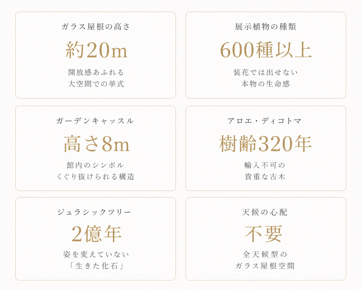 あわじグリーン館 数字で見るスケール ガラス屋根20m 600種以上の植物 ガーデンキャッスル8m 樹齢320年 2億年 全天候型