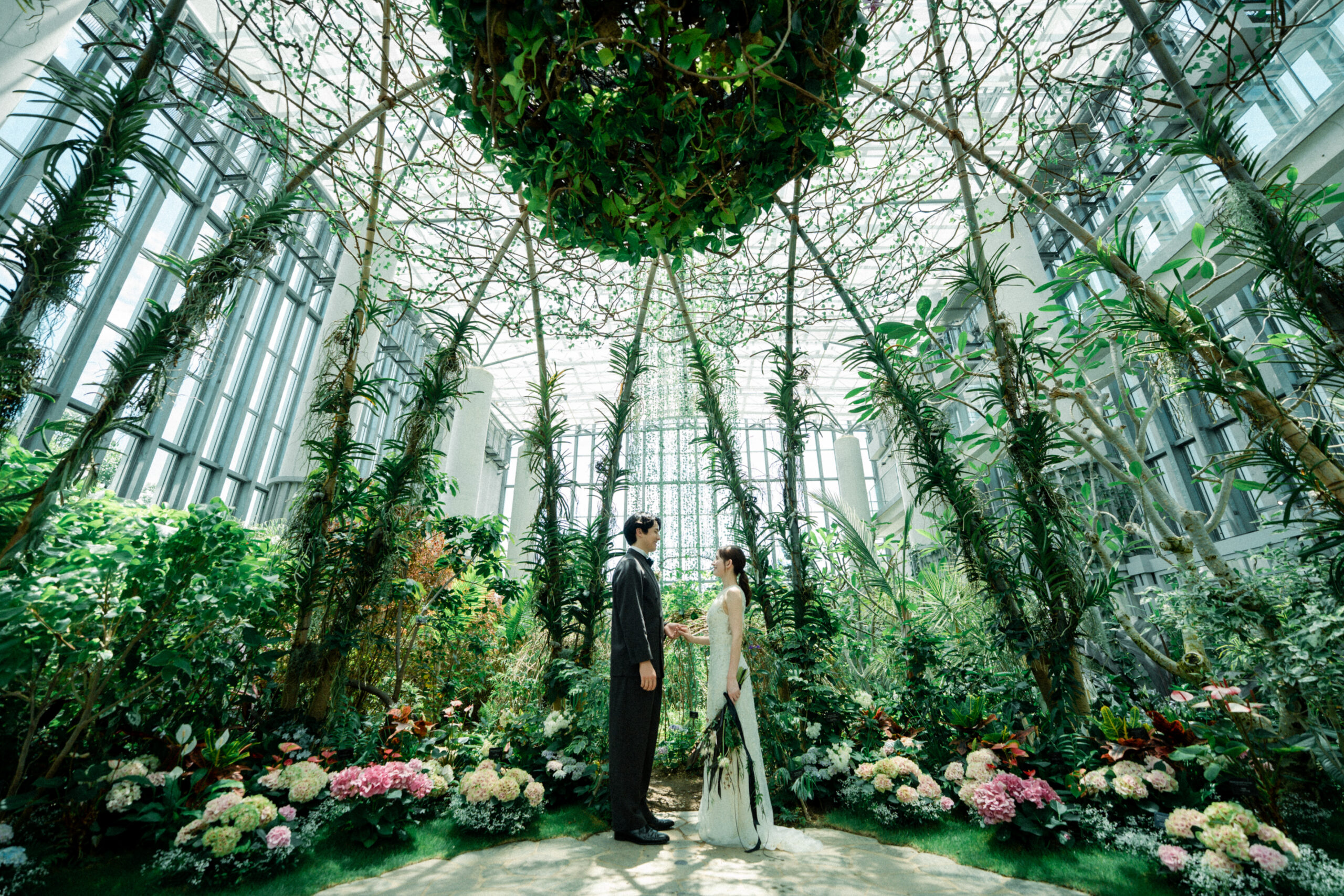 あわじグリーン館 館内の熱帯植物と特徴的な植物展示 世界水準の温室空間