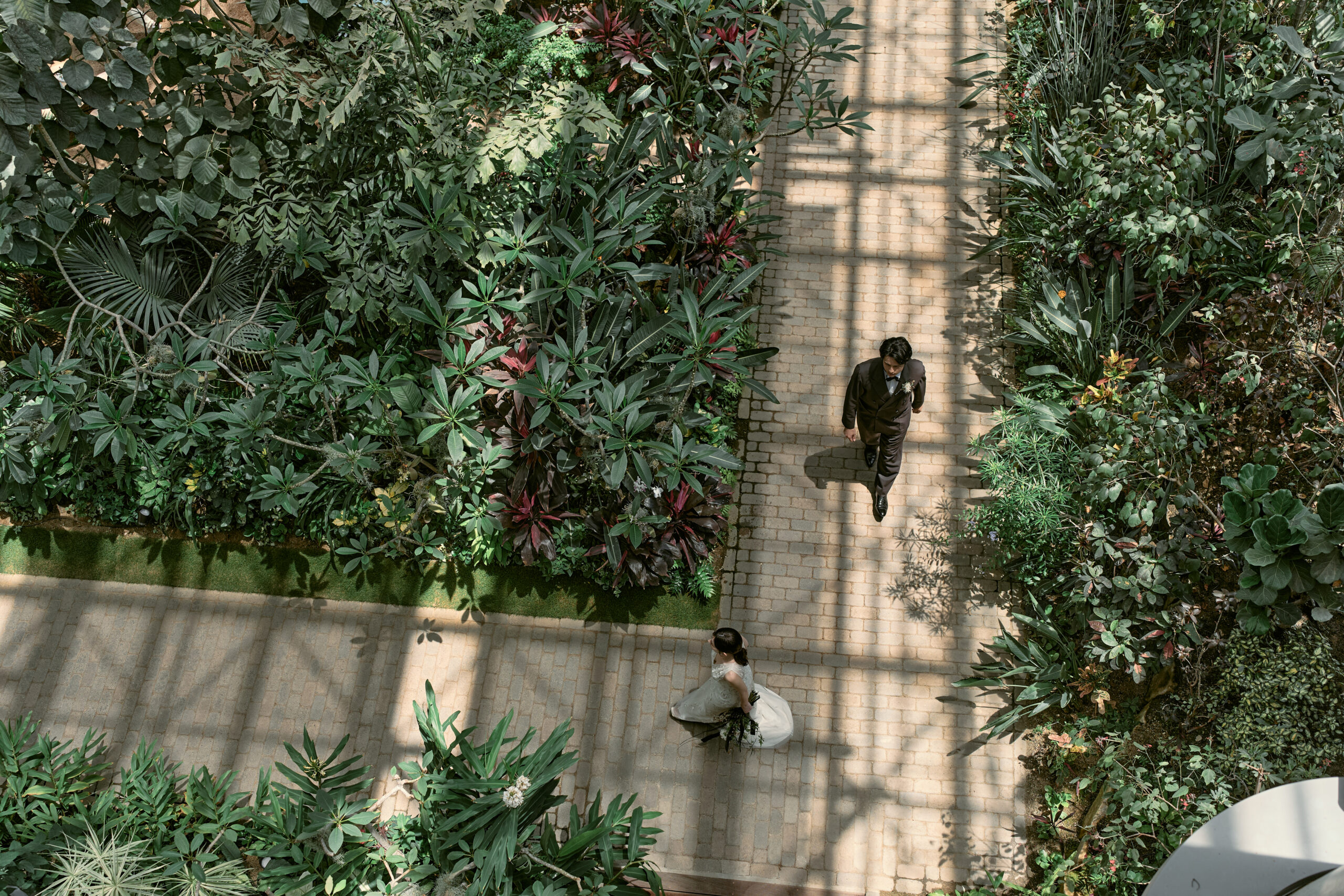 あわじグリーン館 ガラス屋根から差し込む自然光と新婦ドレスの幻想的な温室シーン